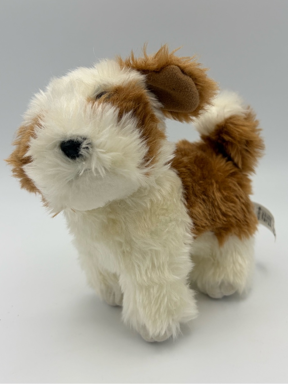 American girl Kanani pet dog akina pet Girl Of The Year 2011